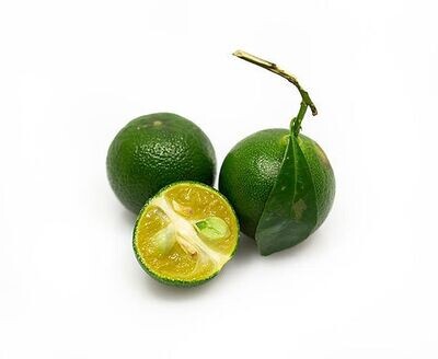 Calamansi