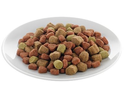 Dry Food