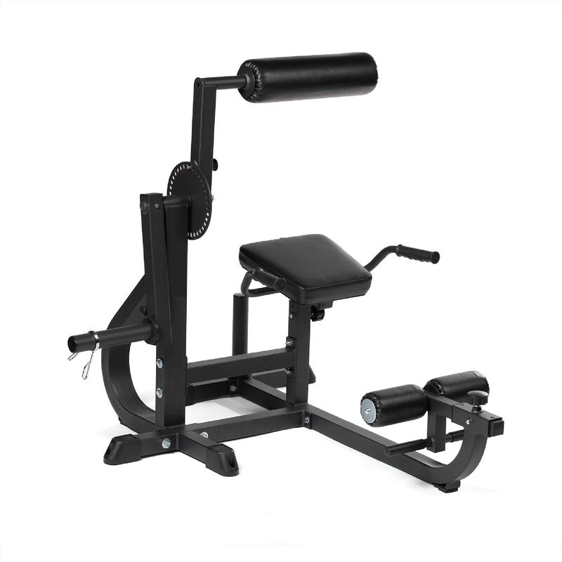 Seated Ab / Back Extension Machine