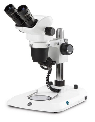 NexiusZoom NZ.1902‑P Stereomicroscoop Bioculair met WF10x/22mm Oculair en Kolomstatief