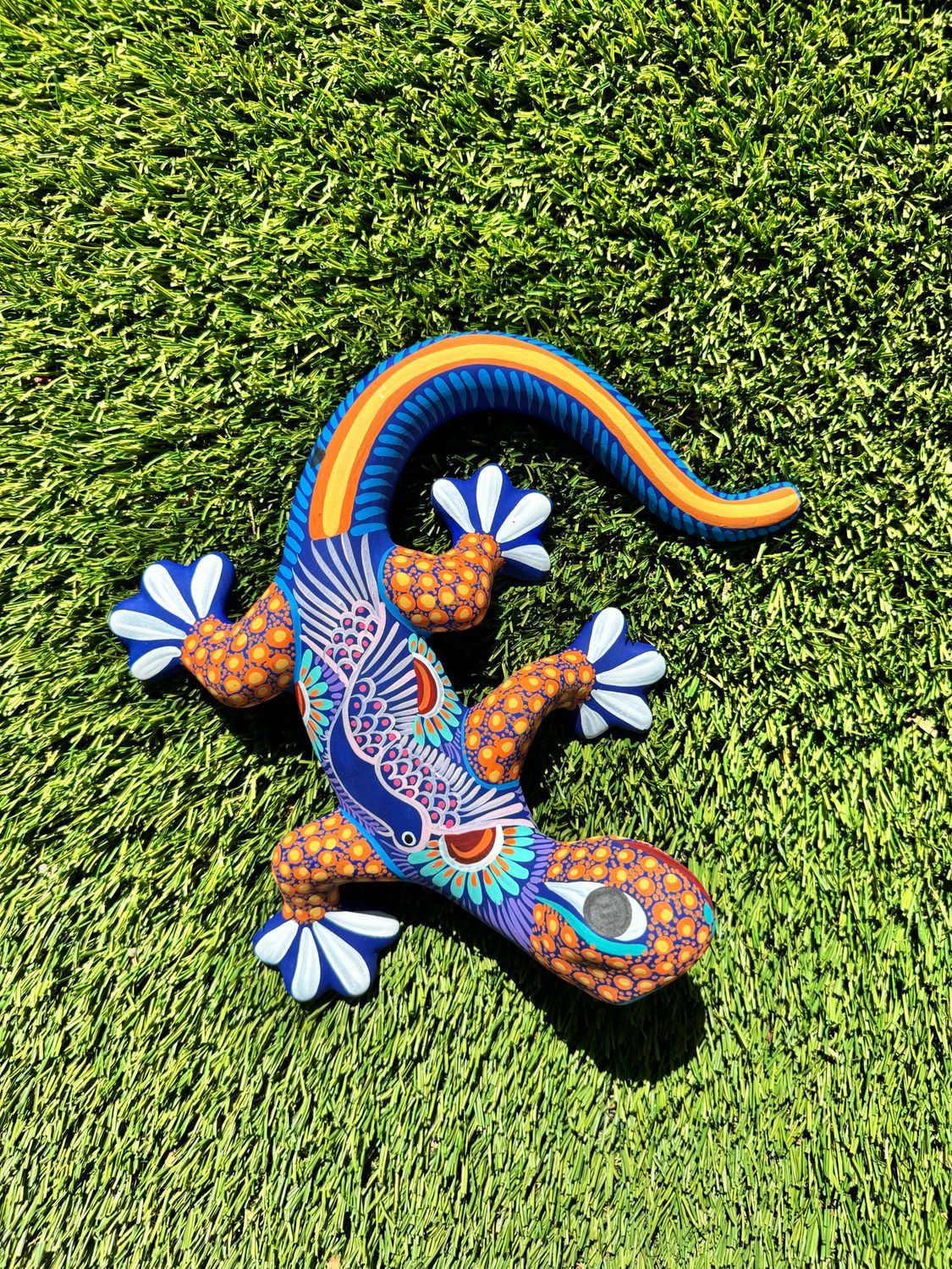 Orange Poca Indoor Colorful Matte Lizard - Medium