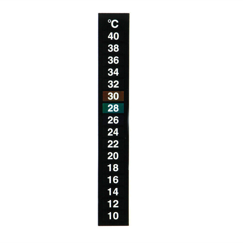 plastic backed thermometer