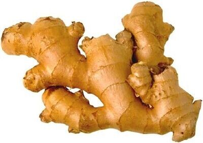 Ginger Beer