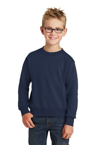 LCCA - Youth Fleece Crewneck Sweatshirt (PRE-ORDER )