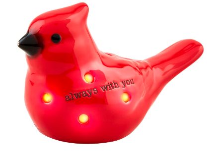 Cardinal Light up Sitter