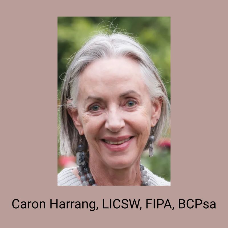 A Psychoanalytic Approach to Addiction: The Analyst’s Internal Frame as a Technical Tool  (on demand - member) A Psychoanalytic Approach to Addiction: The Analyst’s Internal Frame as a Technical Tool  (on demand - member)