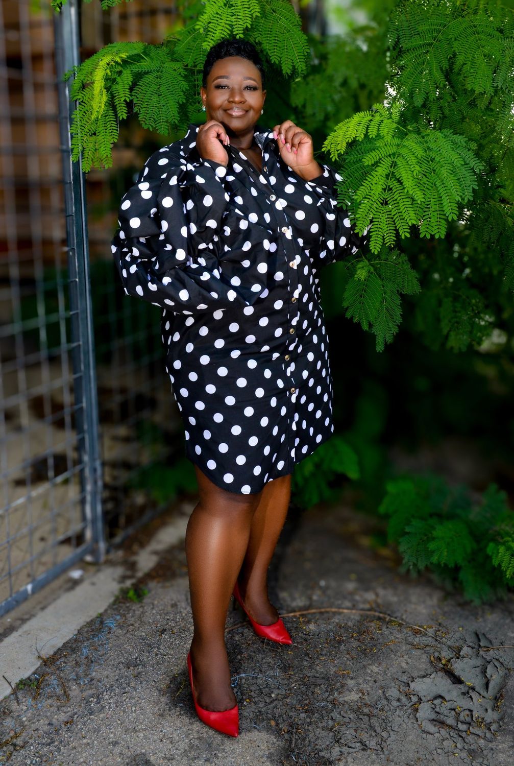 Poke of Elegance Dress