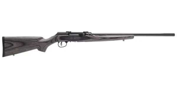 Savage A17 Sporter 17 HMR 22" 10-Rd Semi-Auto Rifle