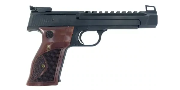 S&W 41 PERFORMANCE CENTER 22 LR 5.5" 10RD PISTOL