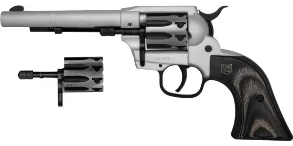 DBF DB SILVER SK 22LR|22M 9 TL