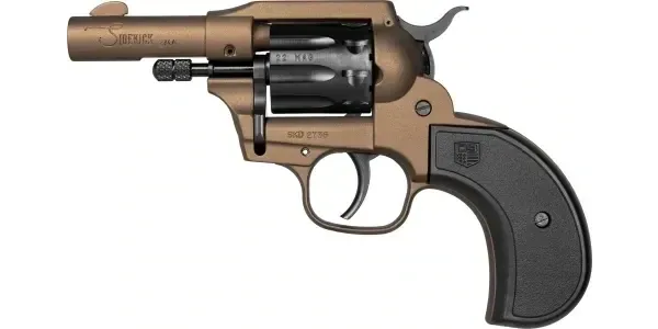 DBF DB SK 22LR|22M BH 3MB 9RD
