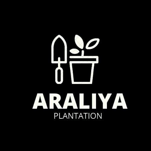 Araliya Plantation Pvt Ltd-Pannipitiya