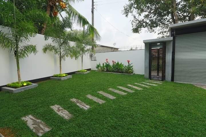 Malaysian Grass Carpet