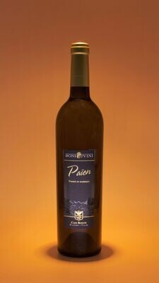 Païen Barrique 2016 - 75cl