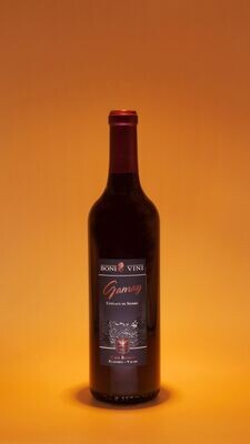 Gamay 2023 - 70cl