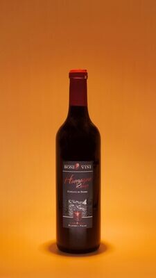 Humagne Rouge 2024 - 70cl