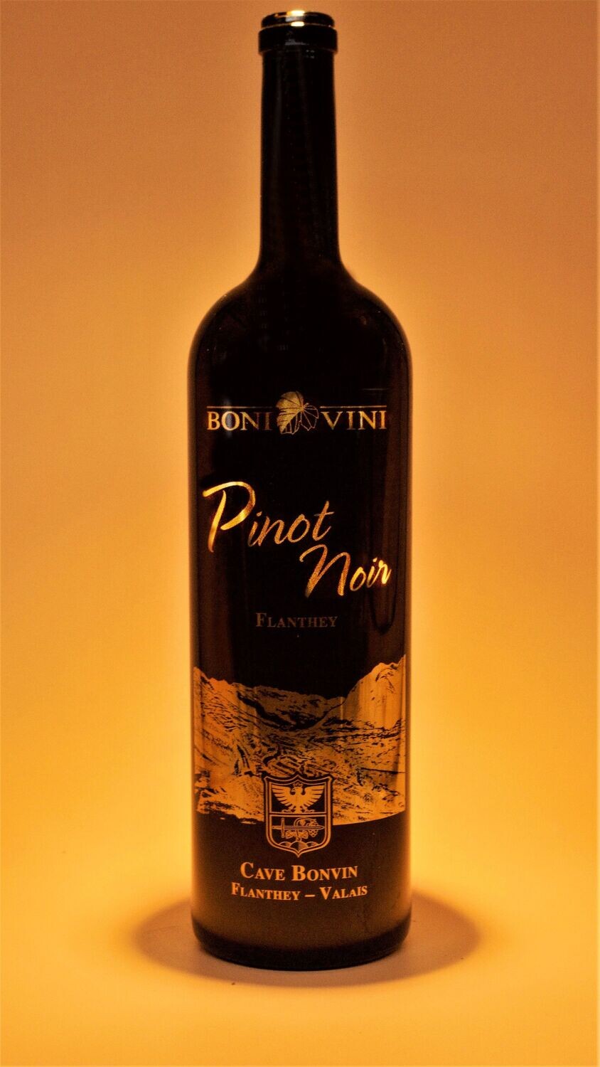 Pinot Noir 2023 - Magnum