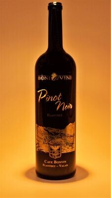 Pinot Noir 2023 - Magnum