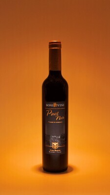 Pinot Noir Barrique 2019 - 50cl
