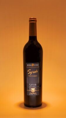Syrah Barrique 2019 - 75cl