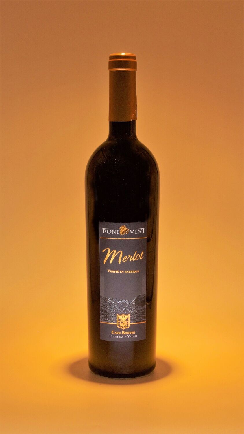Merlot en Barrique 2022 - 75cl