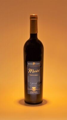 Merlot en Barrique 2022 - 75cl