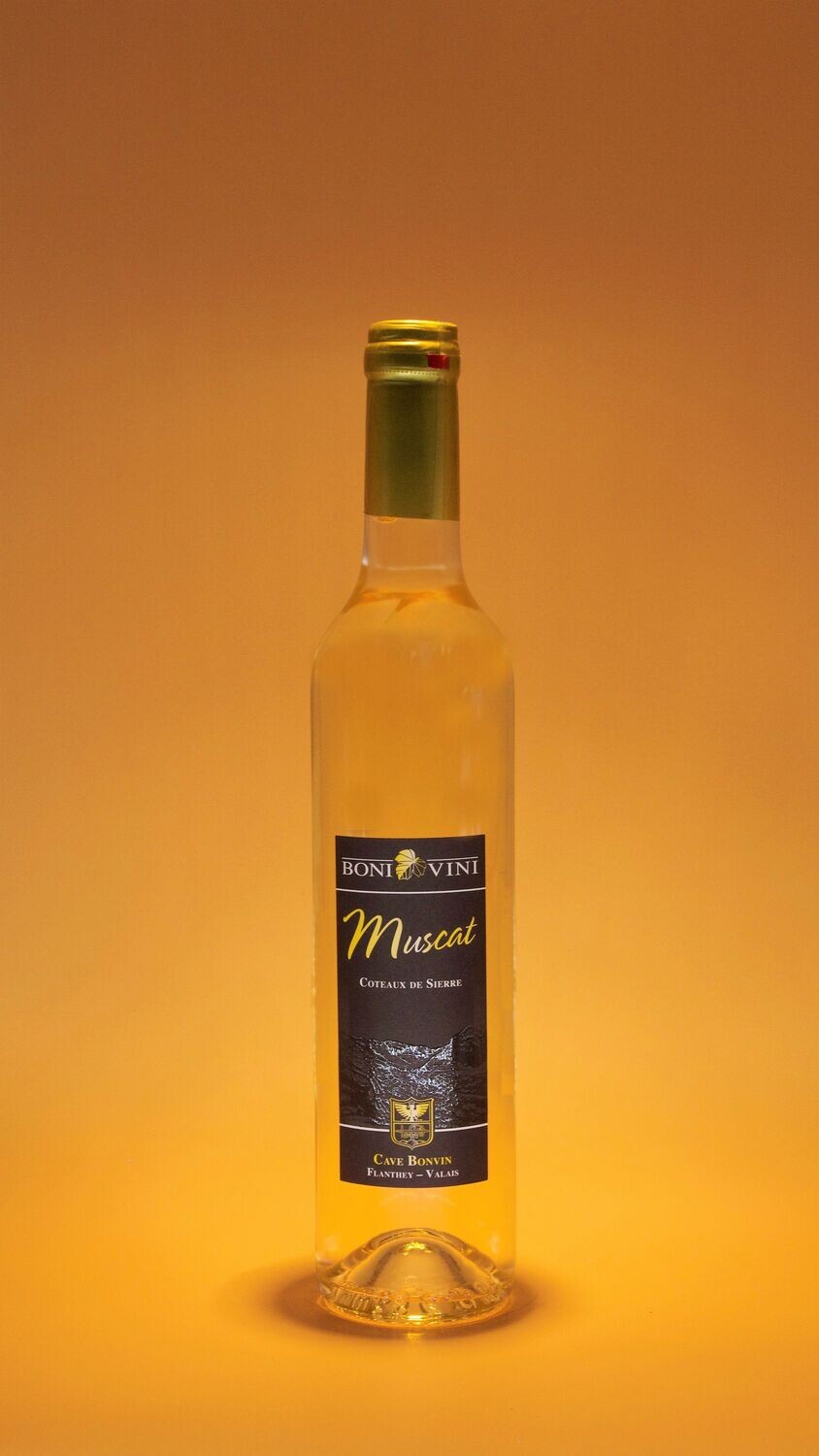 Muscat 2024 - 50cl