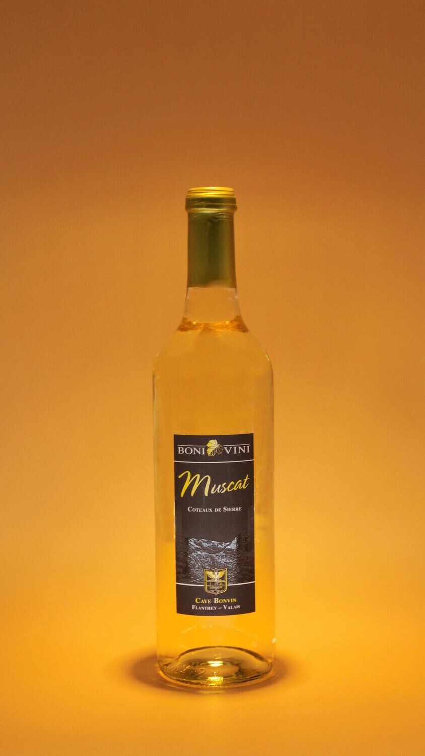 Muscat 2024 - 70cl