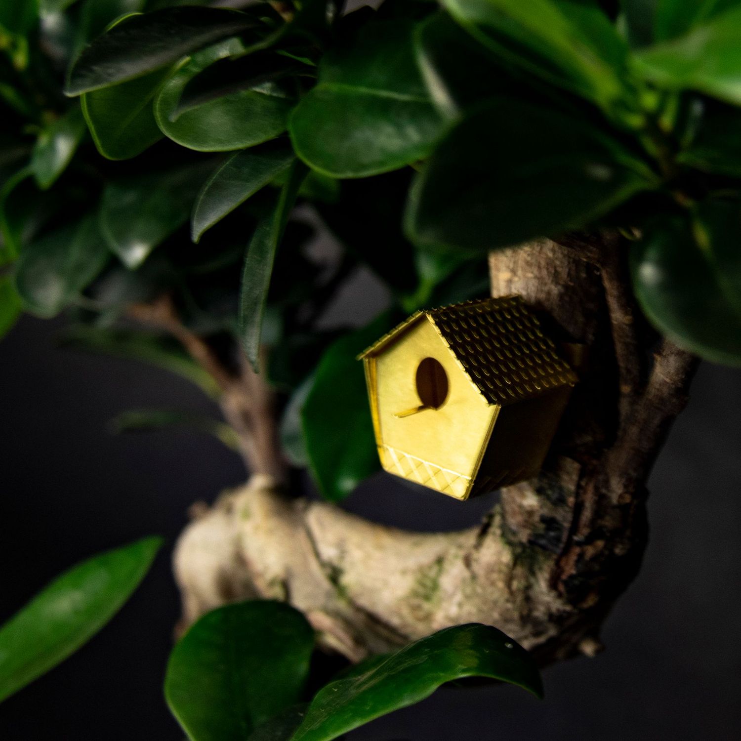 Mini - Vogelhaus