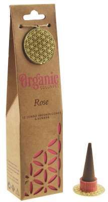 Duftkegel Rose
