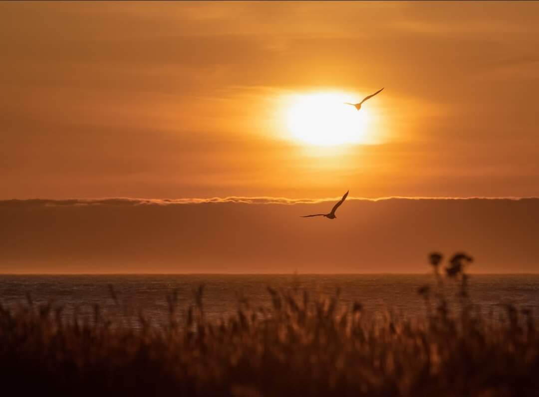 A  Walk Through Nature.
 From the eyes of 
Shannon Thompson from Carlsbad Ca.