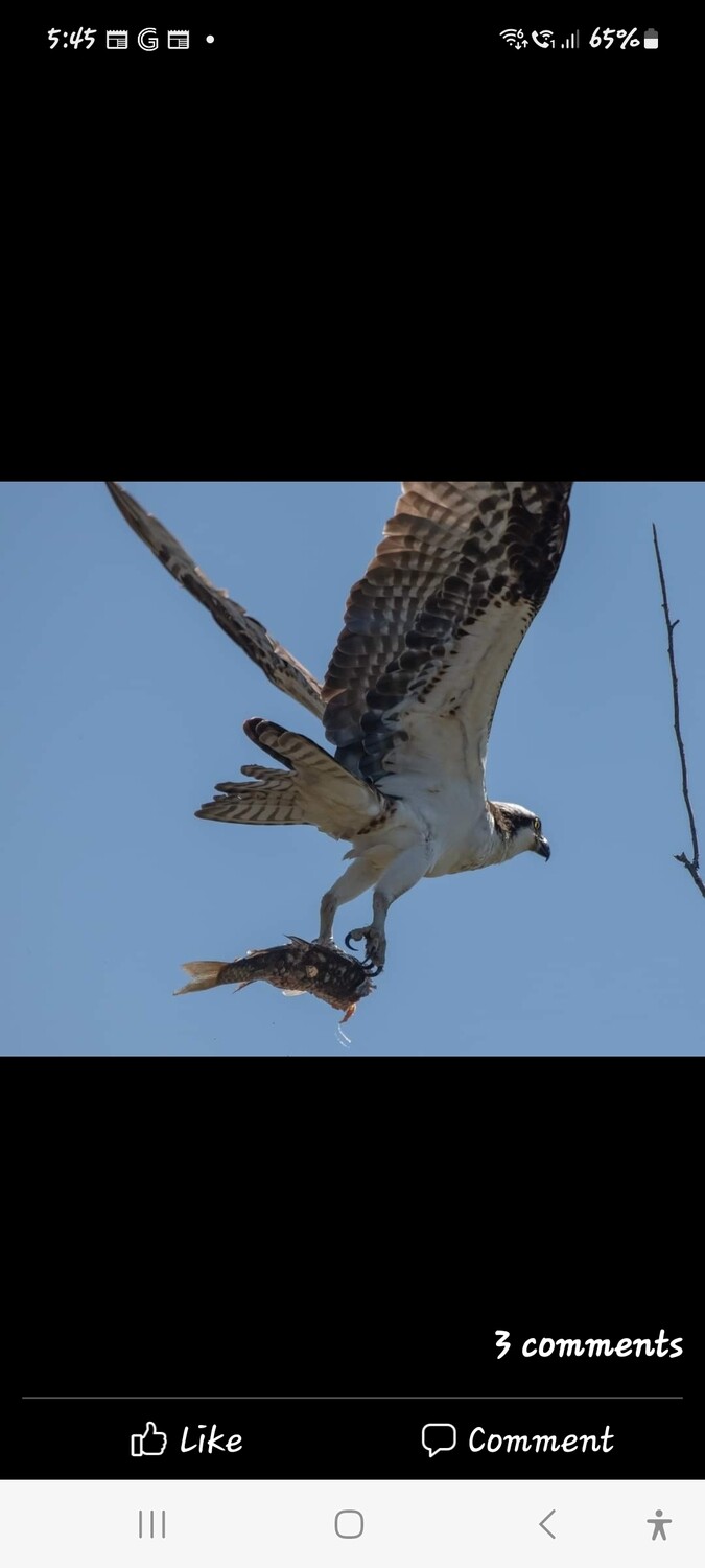 A  Walk Through Nature.
 From the eyes of 
Shannon Thompson from Carlsbad Ca.