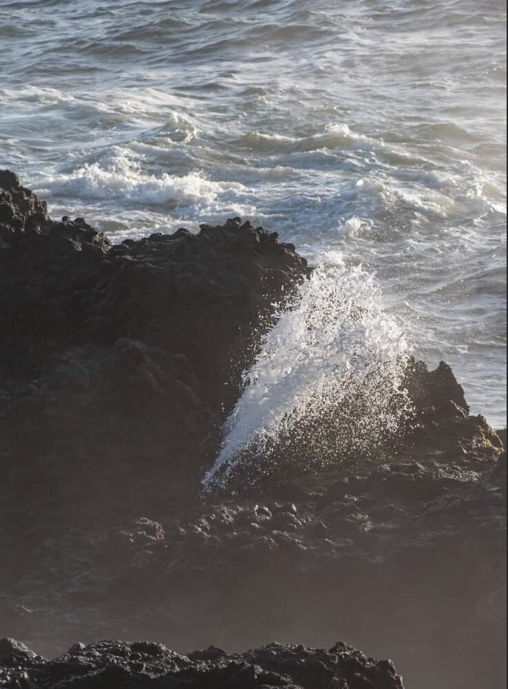 A  Walk Through Nature.
 From the eyes of 
Shannon Thompson from Carlsbad Ca.