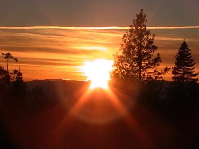 A  Walk Through Nature.
 From the eyes of 
Shannon Thompson from Carlsbad Ca.