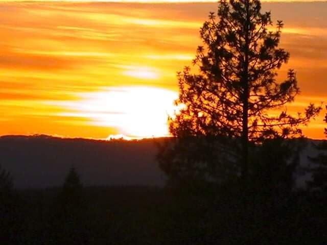 A  Walk Through Nature.
 From the eyes of 
Shannon Thompson from Carlsbad Ca.