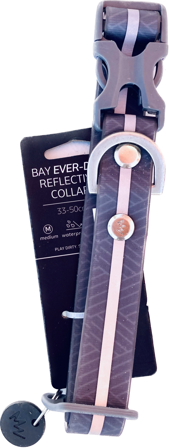 Reflective Collar