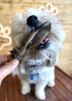 Rabbit Ears