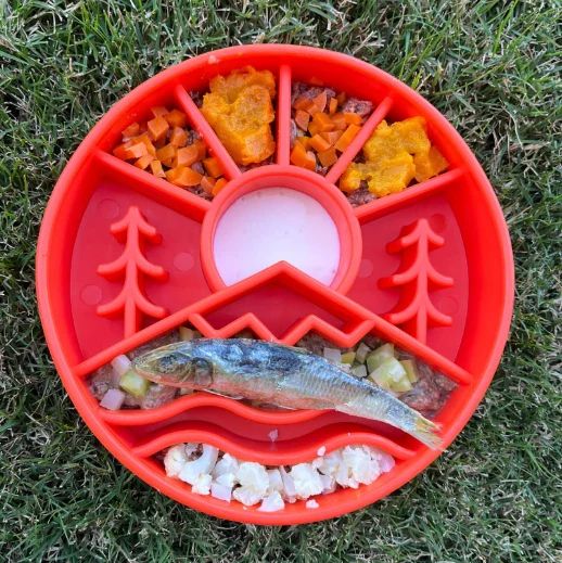 Great Outdoors eBowl, Colour: Orange