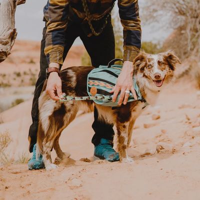 Wilderdog Dog Backpack