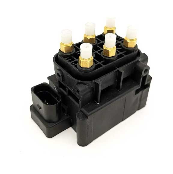 Bentley Continental Flying Spur Valve Block 3D0616013
