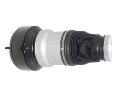 Mercedes S-Class W221 Front Air Spring A2213209313