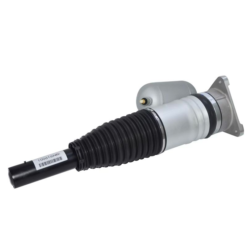 Audi A8 4N, S8 4N Rear Right Air Strut with CDC 4N4616002L