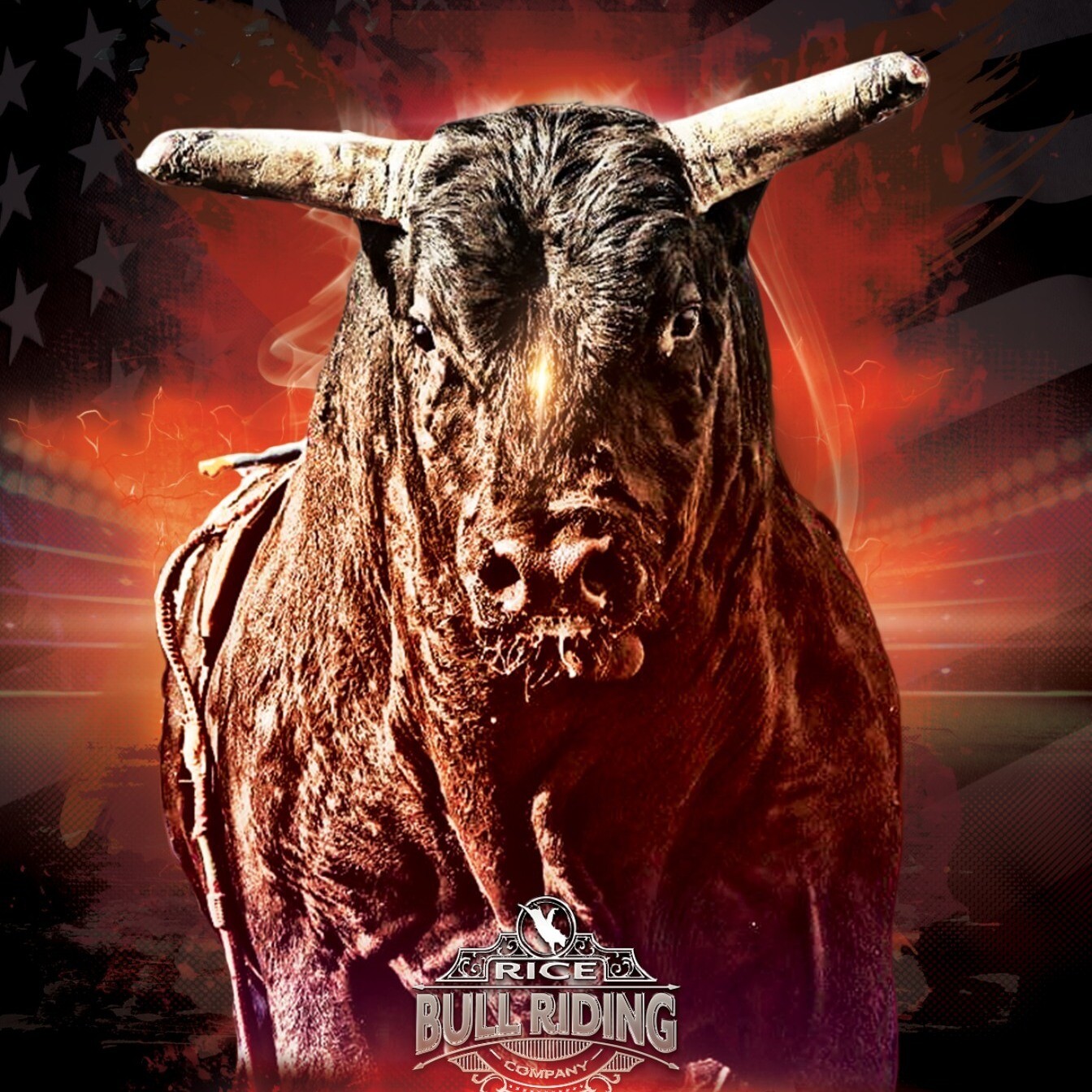 Age 13+ Bulls &amp; Barrels