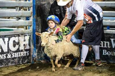 Age 6-12 Bulls &amp; Barrels
