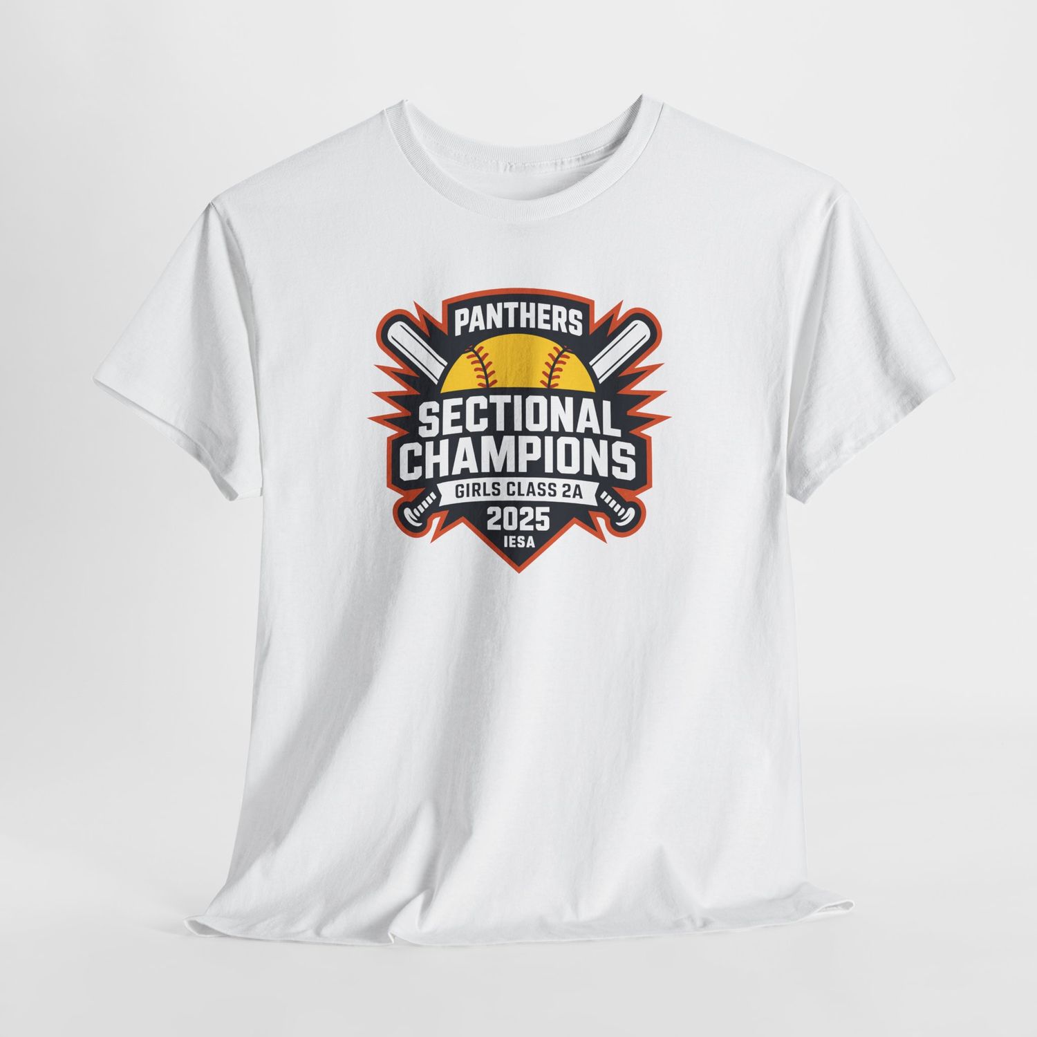 2025 SECTIONAL CHAMPIONS - PANTHERS SOFTBALL
