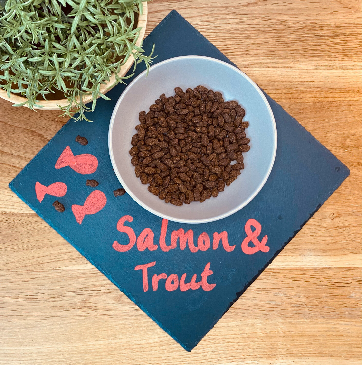 Salmon & Trout Training Bites - 200g