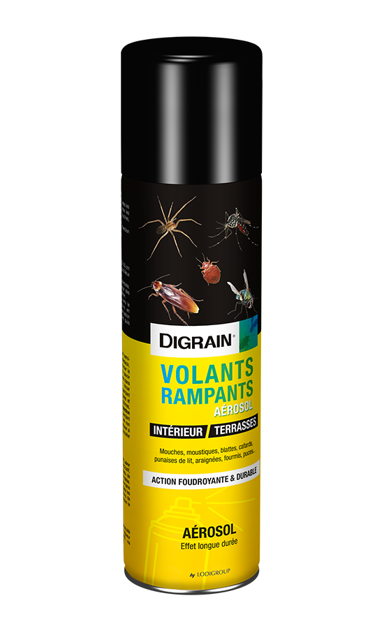 DIGRAIN-VOLANTS-RAMPANTS