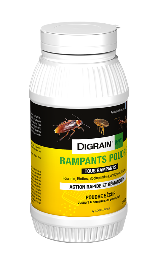 DIGRAIN RAMPANTS POUDRE