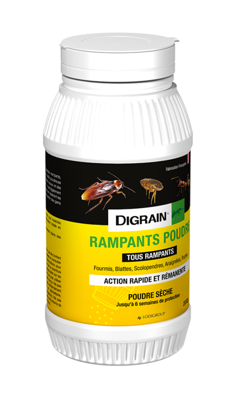 DIGRAIN RAMPANTS POUDRE