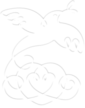 Soul Transformation Therapy